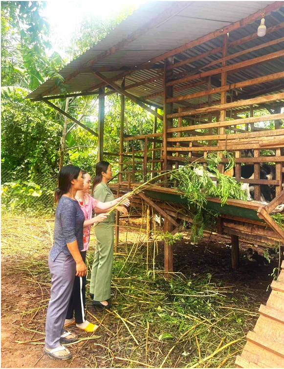 Hội Liên hiệp Phụ nữ huyện làm tốt công tác ủy thác vay vốn giúp cho hội viên phát triển kinh tế